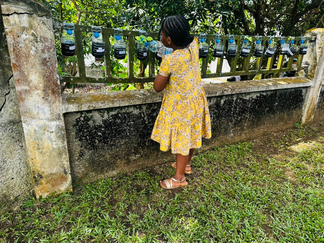 WhatsApp Image 2026-03-26 at 10.51.25